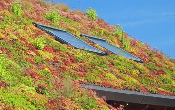Hobbs Cross living roof systems